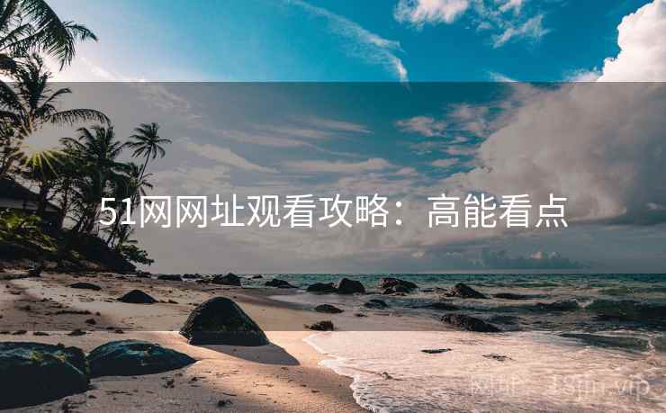 51网网址观看攻略：高能看点