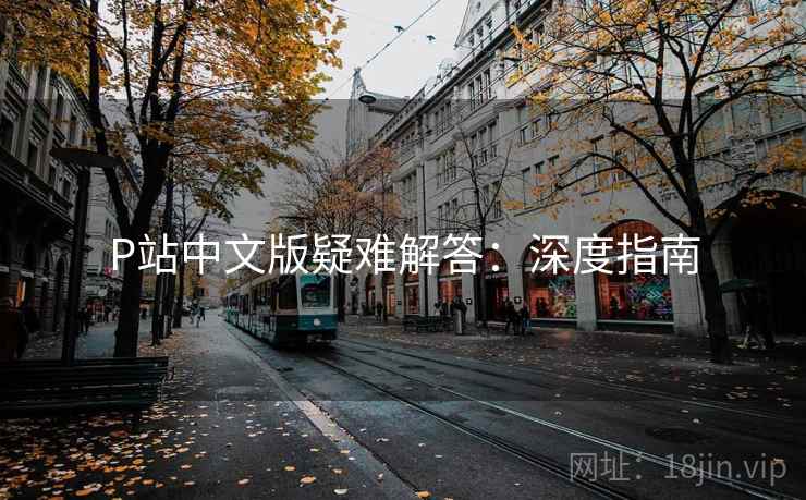 P站中文版疑难解答：深度指南